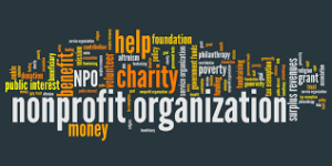 top non profit consulting firms