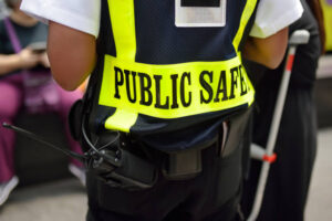top 10 public safety consulting firms