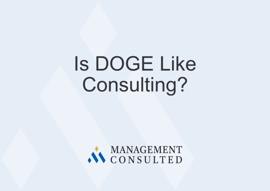 Is DOGE Like Consulting graphic
