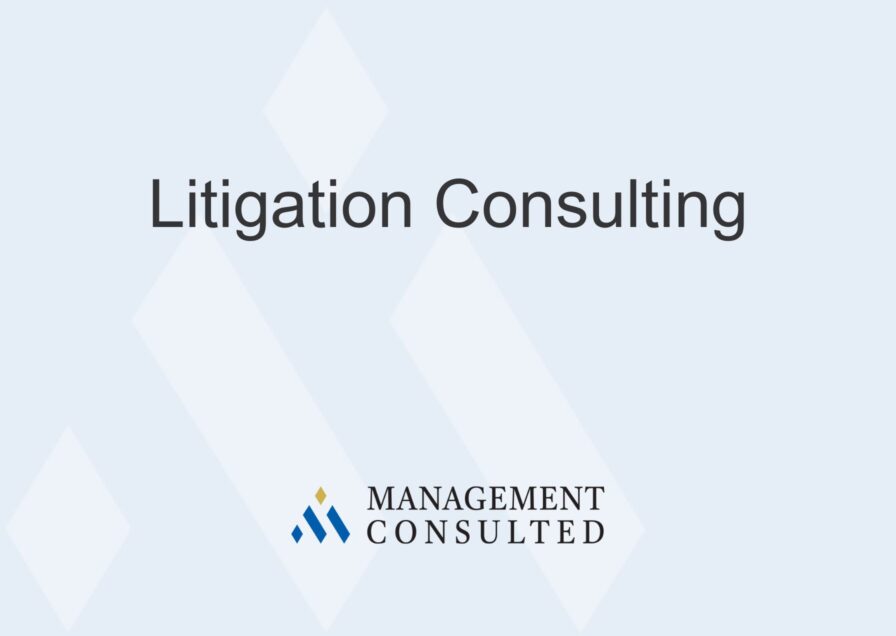 Litigation Consulting graphic
