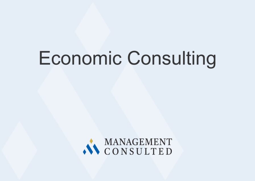 Economic Consulting graphic