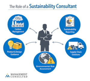 sustainability consultant roles graphic