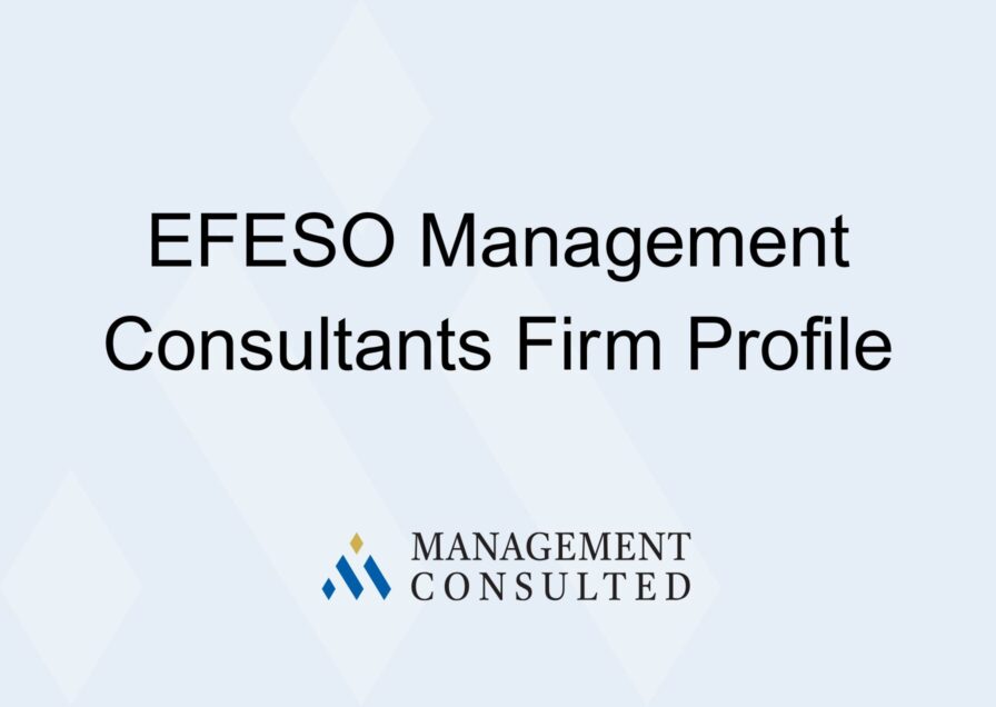 EFESO Management Consultants graphic